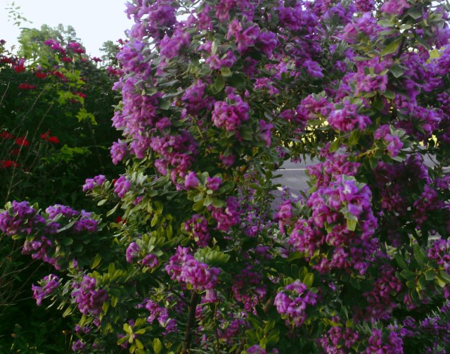 IMG_20130827_185214-1