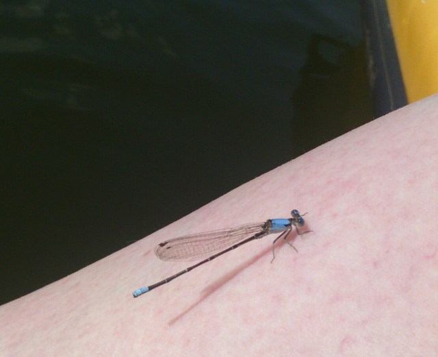 IMG_20131001_145724-1-1