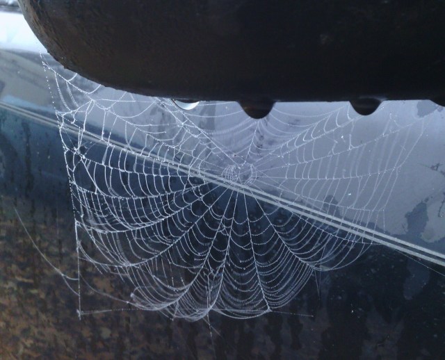 IMG_20131202_084009-1