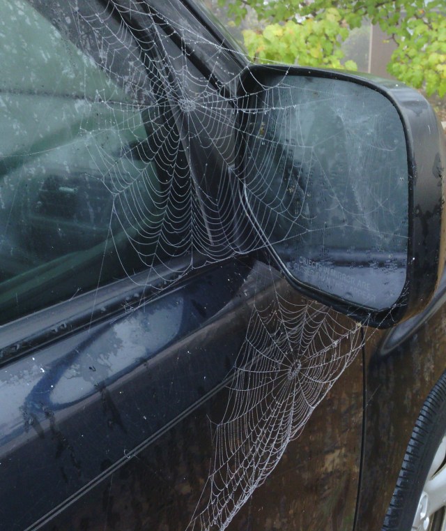 IMG_20131202_084039-1