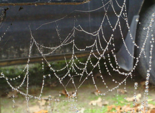 IMG_20131202_114208-1-1